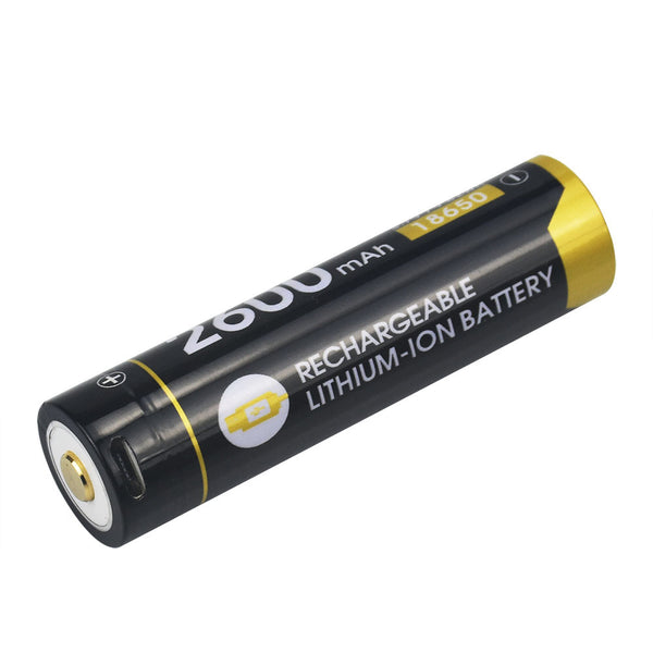 Batterie 18650 - 2600 mAh rechargeable (chargeur intégré)