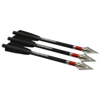 Flèches de chasse lourdes série AR en carbone – lot de 3 pièces