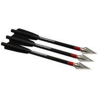 Flèches de chasse légères série AR en carbone – lot de 3 pièces